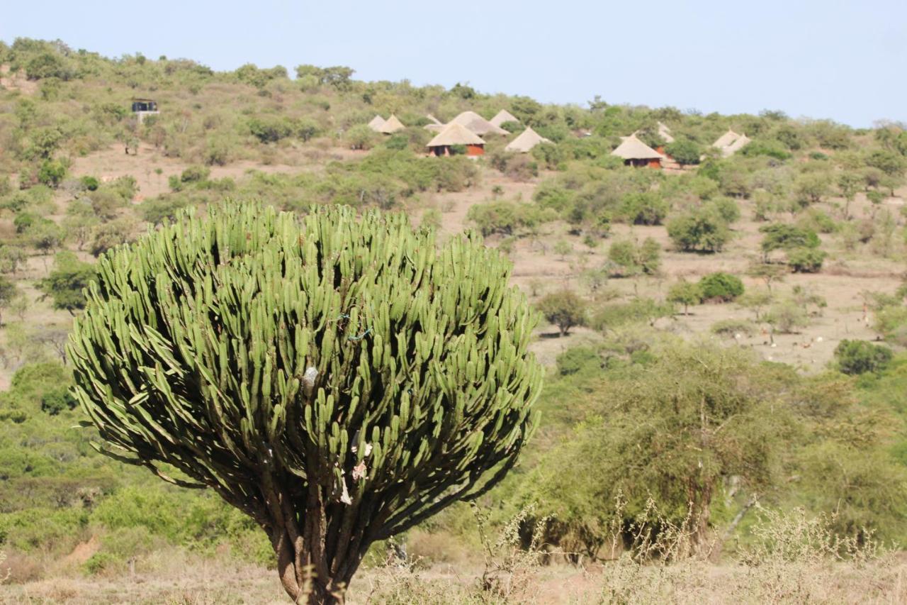 Villa Africa Safari Maasai Boma Serengeti-Savanne Exterior foto